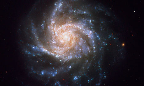 Spiral galaxy NGC 1376.